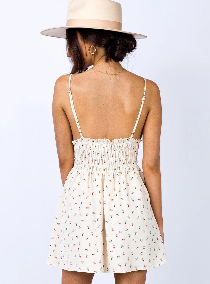 Sleeveless A Line Floral Print Mini Dress - Clothing Whore